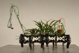Plants Beat Humans to Cyborg Status