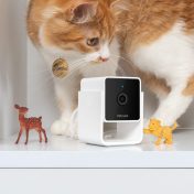 See The World From Your Pet’s Perspective with Pet Vision