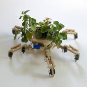 Plant-o-Bot Concept Inspires With Environmental Message, Cuteness