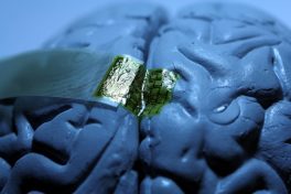 Silk May be Future Material for Brain/Computer Interface