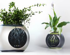 The Eye: Flowerpots For Dummies