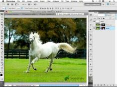 Adobe CS5 Feature Roundup