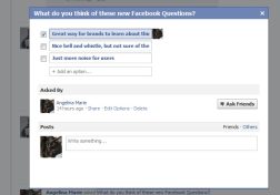 Facebook Questions Launches, Tide of Ignorance Begins