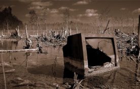 Is the Web Finally Ready to Kill Television?