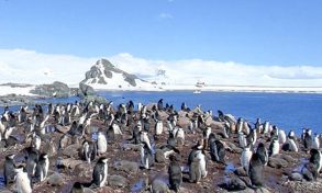 Google Street View: At Least Penguins Can’t Sue