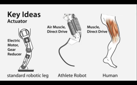 Japanese Robot Can (Almost) Run – We Are So Doomed