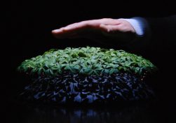 Robotic Plant Ushers in New Age of Unnecessary Robotics