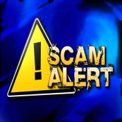 The Cheese is a Lie: How Scammers Bait Their Victims