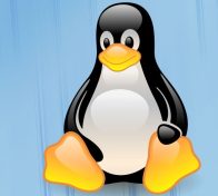 The Story of Linux (on the occasion of its 20th anniversary)