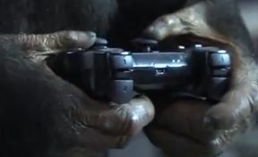 Chimp plays first person shooter (and blows stuff up very well)