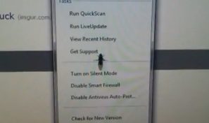 A fly on a touchscreen