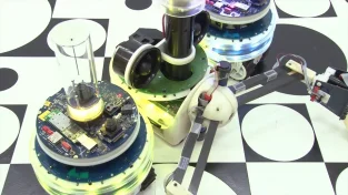 Swarmanoid: The future of awesome gadgets