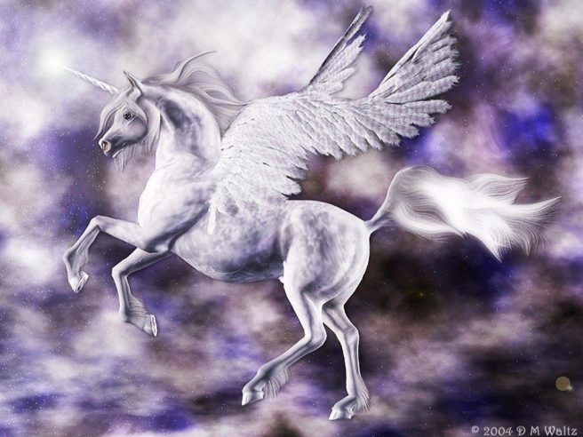 Unicorn