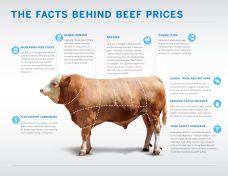From cattle-trading to digital-implants: the evolution of the transaction