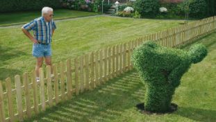 A quirky look at social networks: “If they were your neighbors”