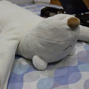 Japan’s cure for snoring and sleep apnea – a robotic bear pillow