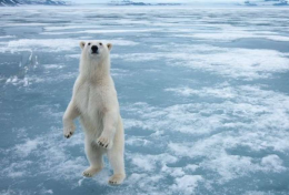 What would Facebook look like at the North Pole?