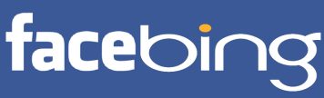 Should Facebook buy Bing?