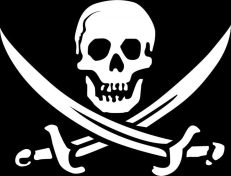 The cost of piracy