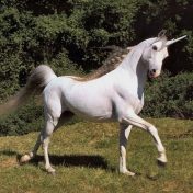 Is the promise of social media for small businesses actually a unicorn?