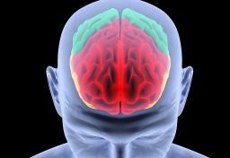 Your internet may be hurting your brain