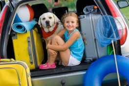 Great mobile apps for summer travel
