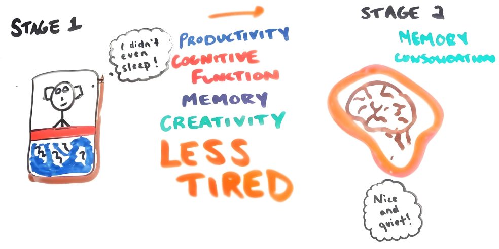 Sleep Science