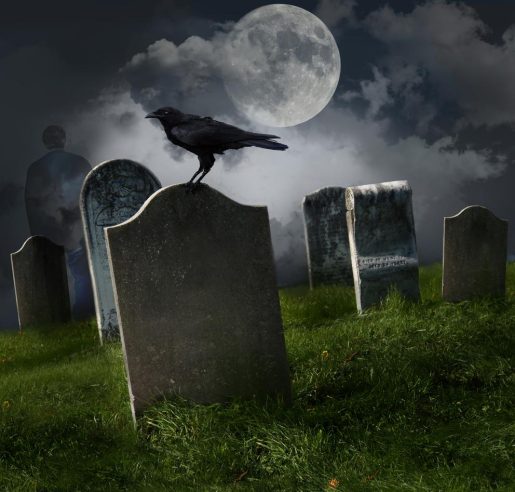 Stop Killing Social Networks by Begging for Likes and ReTweets