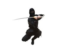 Ninja phOWNING