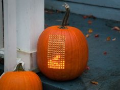 A pumpkin that shames all other pumpkins