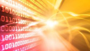 What age did professional programmers start?