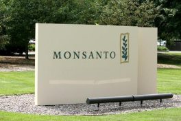 Monsanto, Prop 37, and the art of credible campaigning