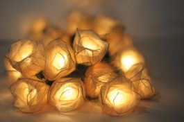 Light up this Holiday season with rose flower leaf lights
