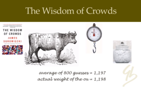 Does the wisdom of the crowd prove that stupid people cancel each other out?