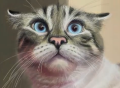 iPad finger painting of a cat (timelapsed video)