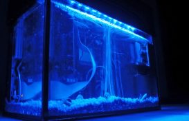 Instead of fish in an aquarium, put a PC in it