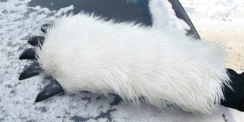 Star Wars Wampa windshield ice scraper