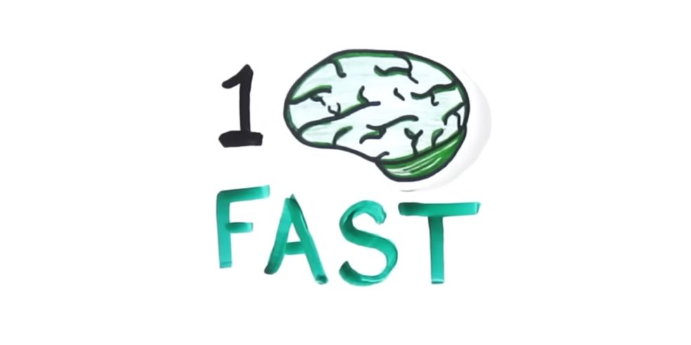 Fast Brain Slow Brain