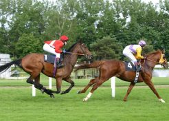 The social media lead generation horse race