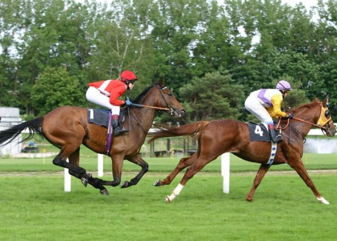 Horse Race