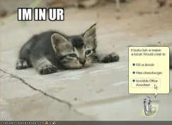 Twitter adds lolcatz to language options, somehow fails to be clever with it