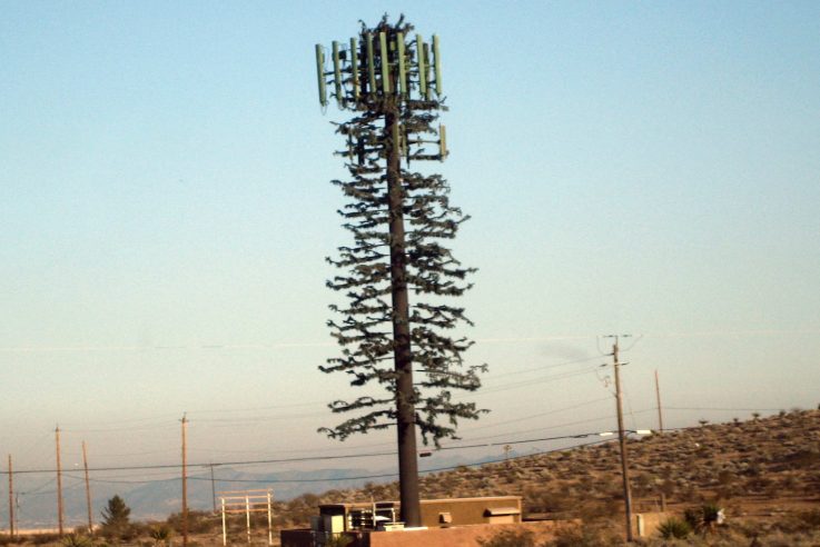 Cell Phone Tower Trees