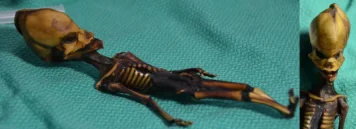 Is Greer’s Sirius alien real?