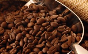 Design creativity: “Infographic on Coffee Cup”