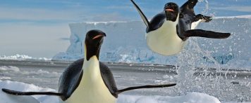 Modern search marketing is more art, less science with Penguin 2.0