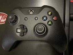 What do bizarre petitions say about gaming socially?